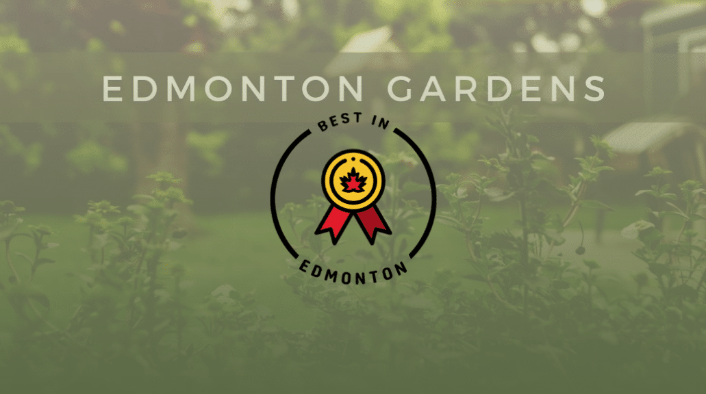 Green & Gold Garden Selected As One Of Edmonton’s Best Gardens Green